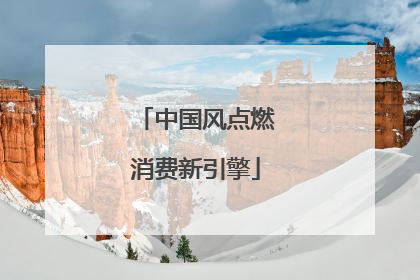 中国风点燃消费新引擎