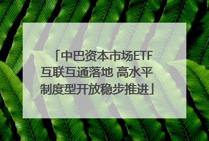 中巴资本市场ETF互联互通落地 高水平制度型开放稳步推进