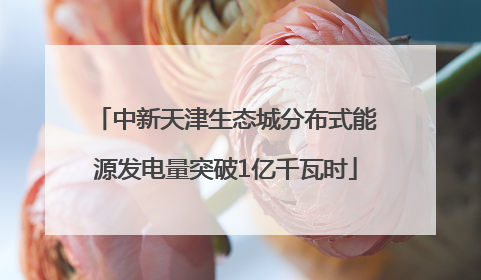 中新天津生态城分布式能源发电量突破1亿千瓦时