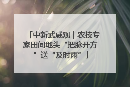 中新武威观｜农技专家田间地头“把脉开方”送“及时雨”