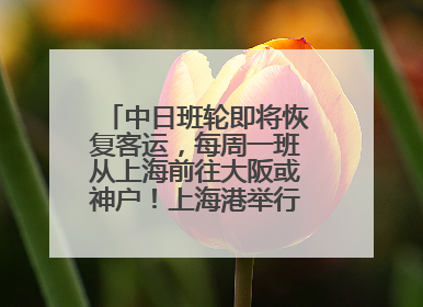 中日班轮即将恢复客运，每周一班从上海前往大阪或神户！上海港举行中日班轮船港联动应急演练