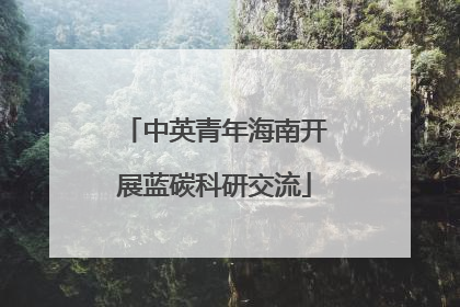 中英青年海南开展蓝碳科研交流