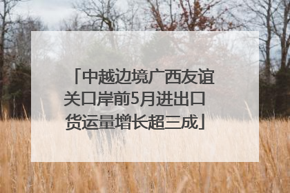 中越边境广西友谊关口岸前5月进出口货运量增长超三成