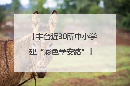 丰台近30所中小学建“彩色学安路”