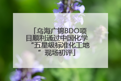 乌海广锦BDO项目顺利通过中国化学“五星级标准化工地”现场初评