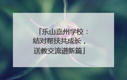 乐山嘉州学校：结对帮扶共成长，送教交流谱新篇