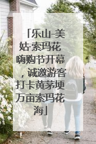 乐山-美姑·索玛花嗨购节开幕，诚邀游客打卡黄茅埂万亩索玛花海