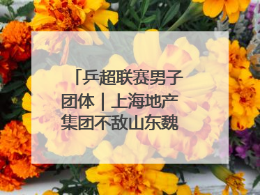 乒超联赛男子团体｜上海地产集团不敌山东魏桥·向尚运动