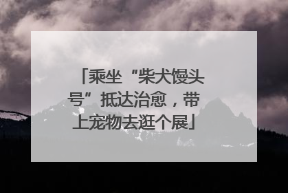 乘坐“柴犬馒头号”抵达治愈，带上宠物去逛个展