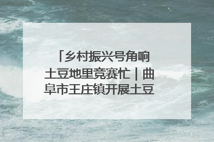 乡村振兴号角响 土豆地里竞赛忙｜曲阜市王庄镇开展土豆收获劳动竞赛