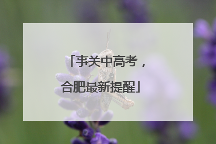 事关中高考，合肥最新提醒