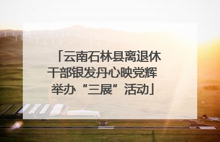 云南石林县离退休干部银发丹心映党辉举办“三展”活动