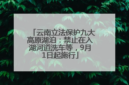 云南立法保护九大高原湖泊：禁止在入湖河道洗车等，9月1日起施行