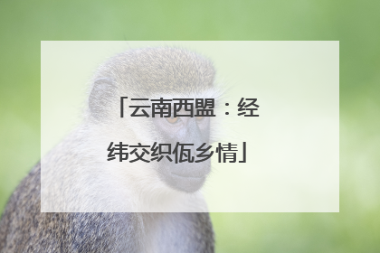 云南西盟：经纬交织佤乡情