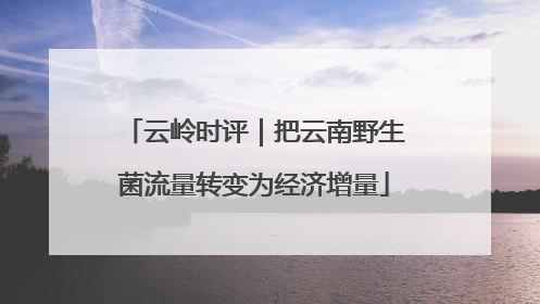 云岭时评｜把云南野生菌流量转变为经济增量