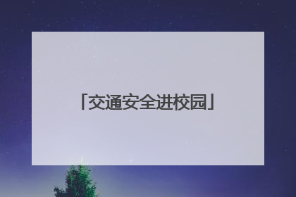 交通安全进校园