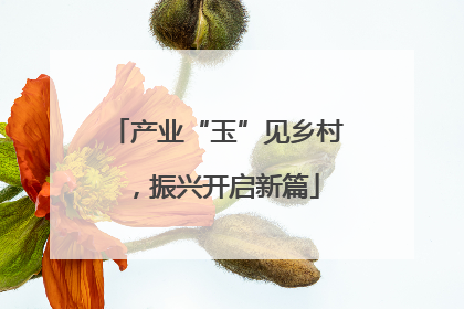 产业“玉”见乡村，振兴开启新篇