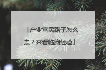 产业富民路子怎么走？来看临朐经验