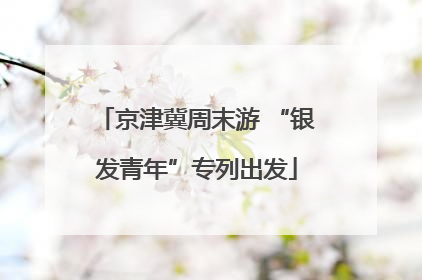 京津冀周末游 “银发青年”专列出发
