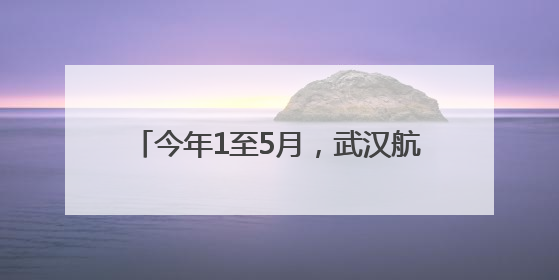 今年1至5月，武汉航空口岸免签入境外国人同比增长160.87%