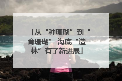 从“种珊瑚”到“育珊瑚” 海底“造林”有了新进展