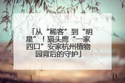 从“稀客”到“明星”！猫头鹰“一家四口”安家杭州植物园背后的守护