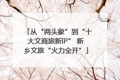 从“两头象”到“十大文商旅新IP” 新乡文旅“火力全开”