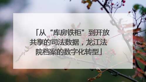 从“库房铁柜”到开放共享的司法数据，龙江法院档案的数字化转型
