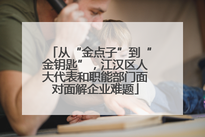 从“金点子”到“金钥匙”，江汉区人大代表和职能部门面对面解企业难题