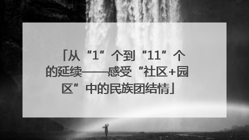 从“1”个到“11”个的延续——感受“社区+园区”中的民族团结情