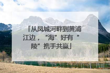 从凤城河畔到黄浦江边，“海”好有“陵”携手共赢
