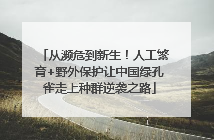 从濒危到新生！人工繁育+野外保护让中国绿孔雀走上种群逆袭之路