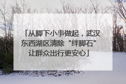 从脚下小事做起，武汉东西湖区清除“绊脚石”让群众出行更安心
