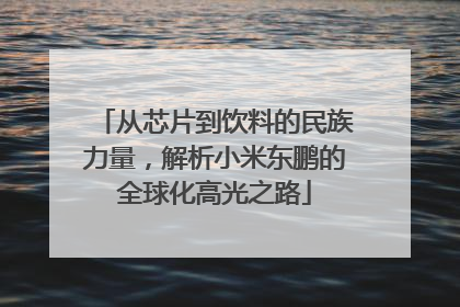 从芯片到饮料的民族力量，解析小米东鹏的全球化高光之路