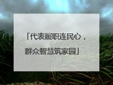 代表履职连民心，群众智慧筑家园