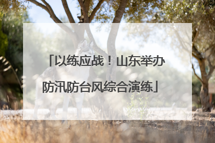 以练应战！山东举办防汛防台风综合演练
