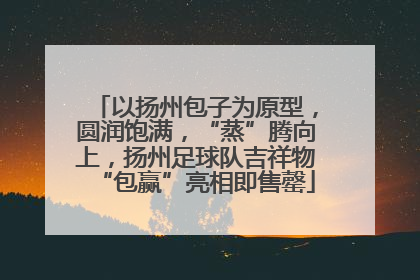 以扬州包子为原型，圆润饱满，“蒸”腾向上，扬州足球队吉祥物“包赢”亮相即售罄
