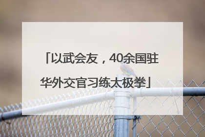 以武会友，40余国驻华外交官习练太极拳