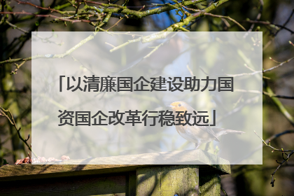 以清廉国企建设助力国资国企改革行稳致远