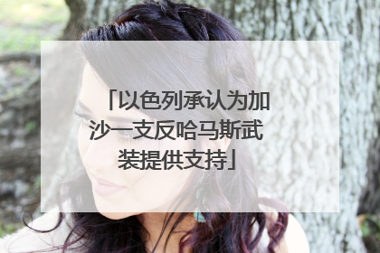 以色列承认为加沙一支反哈马斯武装提供支持