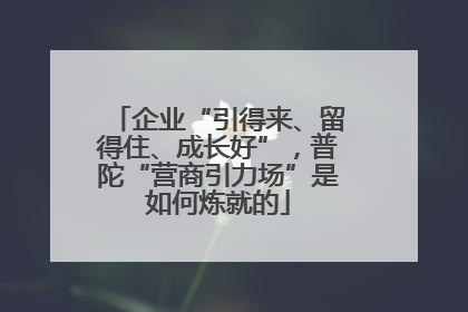 企业“引得来、留得住、成长好”，普陀“营商引力场”是如何炼就的