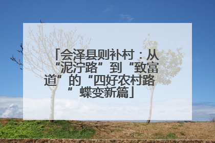 会泽县则补村：从“泥泞路”到“致富道”的“四好农村路”蝶变新篇