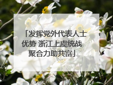 发挥党外代表人士优势 浙江上虞统战聚合力助共富