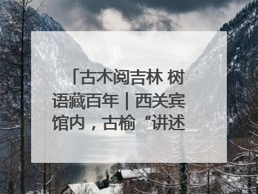 古木阅吉林 树语藏百年｜西关宾馆内，古榆“讲述”时光絮语