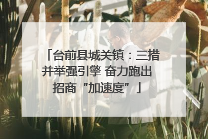 台前县城关镇：三措并举强引擎 奋力跑出招商“加速度”