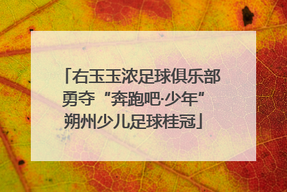 右玉玉浓足球俱乐部勇夺“奔跑吧·少年”朔州少儿足球桂冠