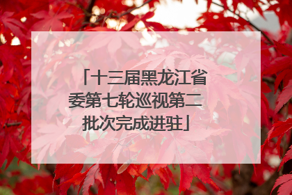 十三届黑龙江省委第七轮巡视第二批次完成进驻