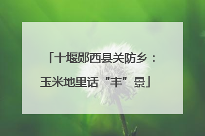 十堰郧西县关防乡：玉米地里话“丰”景