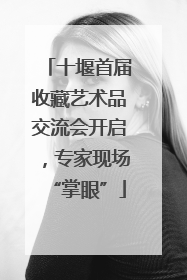 十堰首届收藏艺术品交流会开启，专家现场“掌眼”