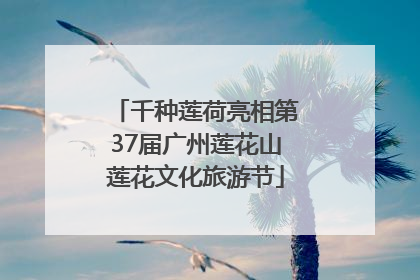 千种莲荷亮相第37届广州莲花山莲花文化旅游节